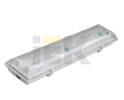 Светильник люминесцентный ЛСП-2х18 ABS/PS IP65